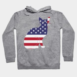 American Flag Funny Cat Hoodie